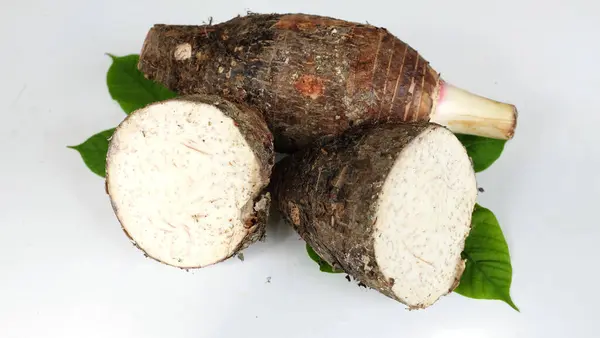 stock image Fresh raw organic Taro root ,taro fragrant ,(colocasia esculenta) whole and halfis and green leaf a large head type.with a pleasant smell isolate on a white backdrop.taro root ready to cooking food 