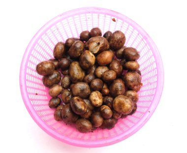 fresh raw organic Astraeus hygrometricus, Barometer earthstar (Astraeus hygrometricus) edible mushroom,Thai naturally occurring mushrooms in plate in a pink plastic basket isolated on white backdrop.  clipart