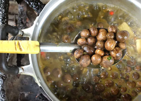 stock image Spicy Mushroom Astraeus hygrometricus, Barometer earthstar (Astraeus hygrometricus) soup,Red Curry Thai Puffball Mushroom and other Vegetable in Spicy Soup.countryside food of thailand