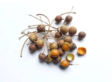 Seylan meşesi (Schleichera oleosa (Lour). Merr.) Beyaz arkaplanda ekşi meyve tadı ve pek çok tıbbi özelliği olan izole et. Thai meyvesi. 