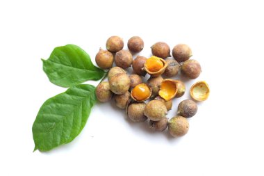 Seylan meşesi (Schleichera oleosa (Lour). Merr.) Ve yeşil, beyaz arkaplanda ekşi bir tat bırakır. Birçok tıbbi özelliği vardır. Thai meyvesi. 