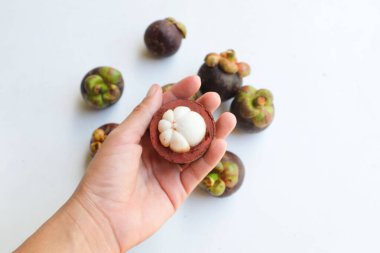 Taze, sulu, sulu, mangosteen meyveler (Garcinia mangostana L.) Tüm mangosteen ve el yapımı insan, beyaz bir zemin üzerinde Meyve Kraliçesi olarak bilinen