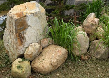 Dekoratif büyük bir kayalık, bahçedeki taş farklı yeşil bitkiler arasında, bahçenin arka bahçesi veya parklarda, kafelerde, restoranlarda, şelalelerde süsleme.