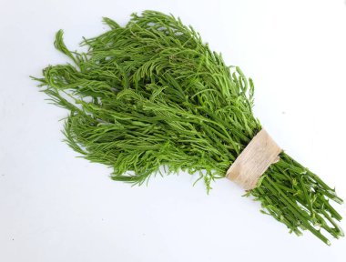  Bir grup Wattle ya da Acacia yaprağı, Cha-om acacia pennata (l.) willd. Beyaz bir arkaplanda izole et. Tayland yemeği pişirmek için hammadde, iyi faydalar ve sağlıklı beslenmek için yüksek vitaminler.