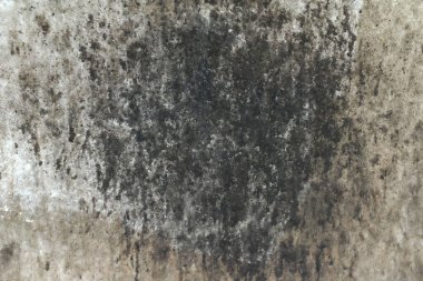 Mutfaktaki yağ lekeleri beton duvarlara sıçradı. Duvarlarda yağ lekeleri, mutfak duvarlarında kirli lekeler, kirli yemek pişirme, yemek pişirmeden yağ lekeleri..