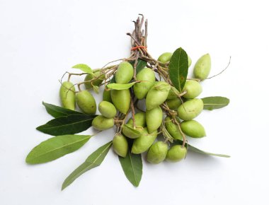 Bir demet taze taze Elaeocarpus hygrophilus meyvesi ikiye bölünmüş ve tamamen yeşil yaprak beyaz arka planda izole edilmiş. Sağlıklı meyvelerin astringen, tatlı ve ekşi bir tadı vardır..