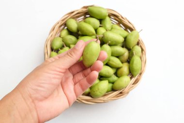 Bir grup taze ham Elaeocarpus hygrophilus meyvesi ikiye bölünmüş ve demir ızgarada izole edilmiş ahşap sepetin üzerinde insan ellerinde tüm yeşil yaprak. Sağlıklı meyvelerin buruk bir burnu vardır. 