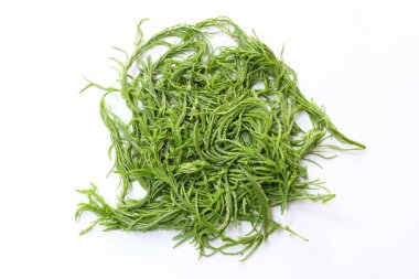 Gıdaklayan yeşil yaprak ya da Acacia yaprakları, Cha-om acacacia pennata (l.) willd. Beyaz bir arkaplanda izole et. Tayland yemeği pişirmek için hammadde, iyi faydalar ve sağlıklı beslenmek için yüksek vitaminler.