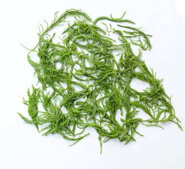 Gıdaklayan yeşil yaprak ya da Acacia yaprakları, Cha-om acacacia pennata (l.) willd. Beyaz bir arkaplanda izole et. Tayland yemeği pişirmek için hammadde, iyi faydalar ve sağlıklı beslenmek için yüksek vitaminler.