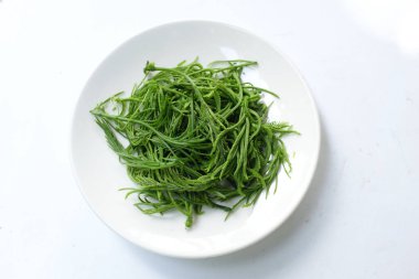 Sazan ya da Akasya yapraklarına tırmanan Cha-om acacia pennata (l.) willd. Beyaz bir plaka içinde, beyaz bir arkaplanda izole edilmiş. Tayland yemeği pişirmek için hammadde, iyi faydalar ve sağlıklı olmak için yüksek vitaminler. 