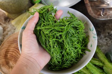 Acacia yaprağıyla çiğ yumurta Tayland usulü sahanda yumurta Acacia Leaf omleti, tırmanan Wattle Thai yemeği ile kızarmış yumurta popüler menü, karides ezmeli biber ezmesi