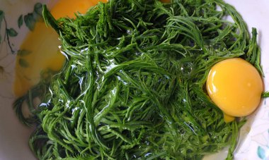 Acacia yaprağıyla çiğ yumurta Tayland usulü sahanda yumurta Acacia Leaf omleti, tırmanan Wattle Thai yemeği ile kızarmış yumurta popüler menü, karides ezmeli biber ezmesi