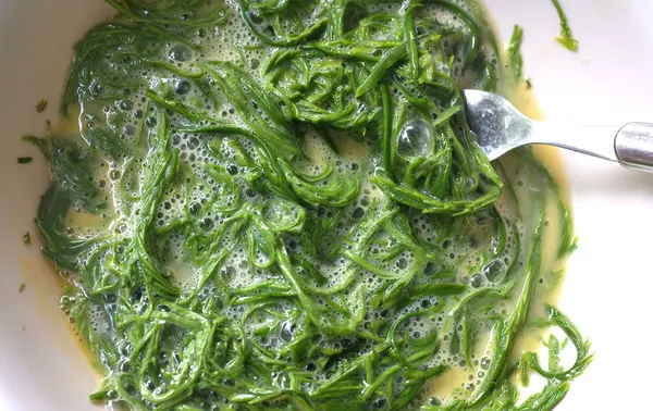 Acacia yaprağıyla çiğ yumurta Tayland usulü sahanda yumurta Acacia Leaf omleti, tırmanan Wattle Thai yemeği ile kızarmış yumurta popüler menü, karides ezmeli biber ezmesi