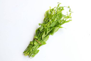 Taze taze çiğ bir melientha suavis pierre sebzeleri beyaz arka planda yalıtılmış halde bırakır. (Thai 'ye Pak Wan Ağacı denir) Kavram, Tayland' da yerel yiyecek bileşeni