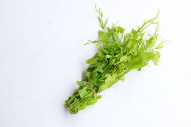 Taze taze çiğ bir melientha suavis pierre sebzeleri beyaz arka planda yalıtılmış halde bırakır. (Thai 'ye Pak Wan Ağacı denir) Kavram, Tayland' da yerel yiyecek bileşeni