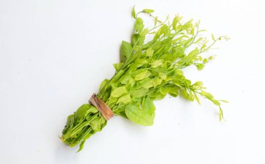 Taze taze çiğ bir melientha suavis pierre sebzeleri beyaz arka planda yalıtılmış halde bırakır. (Thai 'ye Pak Wan Ağacı denir) Kavram, Tayland' da yerel yiyecek bileşeni