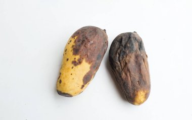 Üst ve düz mango yatar, kötü mango beyaz bir zeminde izole edilir. Atık gıda kavramı