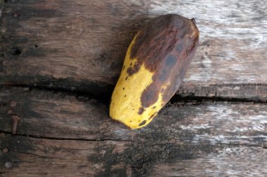 Üst ve düz mango yatıyordu, kötü mango ahşap zeminde yalıtılmış. Atık gıda kavramı