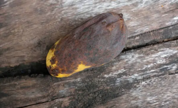 stock image top view and flat lay rotten mango, bad mango isolate on a on the wooden floor . Waste food concept