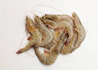 Taze çiğ karides, karides, Dev Tatlı Su Karidesi, Tatlı Su Karidesi, Dev Nehir Karidesi (Macrobrachium Rosenbergii) Mutfakta beyaz arka planda izole edilmiş deniz ürünleri pişirmek için.