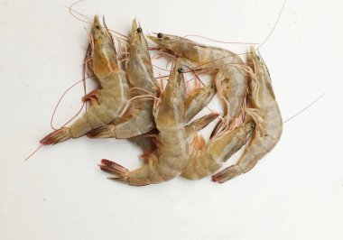Taze çiğ karides, karides, Dev Tatlı Su Karidesi, Tatlı Su Karidesi, Dev Nehir Karidesi (Macrobrachium Rosenbergii) Mutfakta beyaz arka planda izole edilmiş deniz ürünleri pişirmek için.