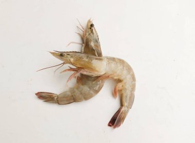 Taze çiğ karides, karides, Dev Tatlı Su Karidesi, Tatlı Su Karidesi, Dev Nehir Karidesi (Macrobrachium Rosenbergii) Mutfakta beyaz arka planda izole edilmiş deniz ürünleri pişirmek için.