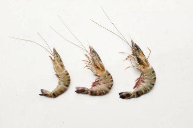 Taze çiğ karides, karides, Tiger karidesi, Kuruma karidesi. (Penaeus japonicus) tuzlu su karidesi mutfakta deniz ürünleri pişirmek için beyaz arka planda izole edilmiş