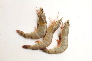 Taze çiğ karides, karides, Dev Tatlı Su Karidesi, Tatlı Su Karidesi, Dev Nehir Karidesi (Macrobrachium Rosenbergii) Mutfakta beyaz arka planda izole edilmiş deniz ürünleri pişirmek için.