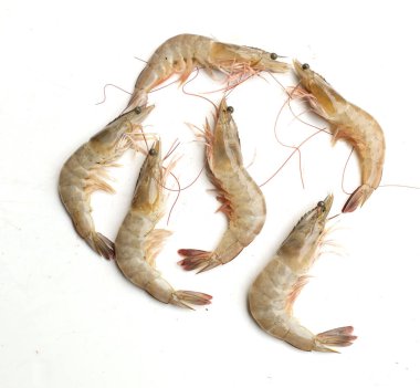 Taze çiğ karides, karides, Dev Tatlı Su Karidesi, Tatlı Su Karidesi, Dev Nehir Karidesi (Macrobrachium Rosenbergii) Mutfakta beyaz arka planda izole edilmiş deniz ürünleri pişirmek için.