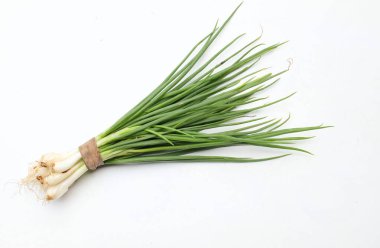Bir demet taze çiğ taze soğan, yeşil soğan (allium cepa var. Kökleri beyaz arkaplanda izole edilmiş. sağlıklı sebze konsepti