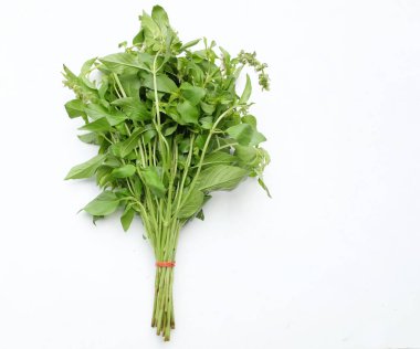 Bir demet taze çiğ Hairy Basil, Amerikan fesleğeni, limon fesleğeni (Ocimum Basilicum L.F. var. Yaprakların, beyaz arka planda izole edilmiş baharatlı bir yemek yapma zevki vardır. Sebze sağlığı kavramı