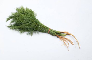 Taze yeşil Dill (Anethum Graveolens L.) kökleri beyaz zemin üzerinde izole edilmiş. sağlıklı sebze konsepti