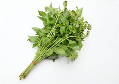 Bir demet taze çiğ Hairy Basil, Amerikan fesleğeni, limon fesleğeni (Ocimum Basilicum L.F. var. Yaprakların, beyaz arka planda izole edilmiş baharatlı bir yemek yapma zevki vardır. Sebze sağlığı kavramı