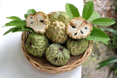 fresh green raw custard apple,sugar apple, annona cherimola (annona squamosa l.) fruit with leaf in a wicker basket on a wooden table backdrop. tropical exotic fruit and healthy fruits clipart