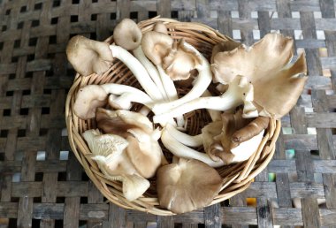 Anka kuşu istiridye mantarı, akciğer istiridyesi, pleurotus sajor caju (fr. Bambu zeminde ahşap bir sepetin içinde. Vejetaryen için besleyici bileşen