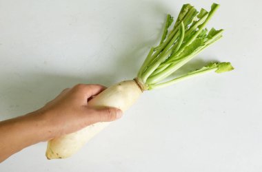 Taze beyaz daikon, daikon turp, turp, beyaz turp, (raphanus sativus var. Longipinnatus) Beyaz arka planda izole edilmiş Asyalı kadınların ellerinde.