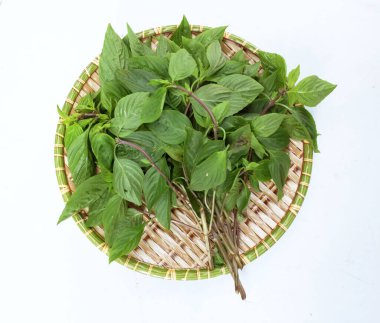 Taze taze taze taze fesleğen, Tayland fesleğeni (Ocimum Basilicum var. Thyrsiflora yaprakları, beyaz arka planda izole edilmiş ahşap tepsilerde yemek pişirmek için baharatlı bir tadı vardır. Sebze sağlığı kavramı