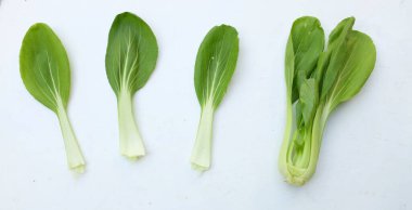 taze ve lezzetli yeşil bok choy, Çin lahanası, kanton marulu, Bok Choy (Çin lahanası) küçük choy sum, yeşil pak choi, Çin pazarı (brassica rapa subsp. Beyaz bir arkaplanda izole et