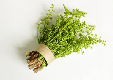 Taze çiğ bir tıbbi neem çiçeği ve yapraklar veya, Siyam, Neem, Neem ağacı, Nim, Margosa, Quinine, (Azadirachta indica) beyaz bir arkaplanda izole edilir. Sağlıklı sebzeler, gıda malzemeleri ve bitkisel