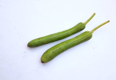 Taze organik sünger kabağı, bilinen kabak sırtı kabağı, (Luffa aegyptiaca), Mısır salatalığı veya Vietnam luffası, Sünger kabağı, Pürüzsüz lif, Sebze süngeri, kabak havlusu beyaz bir zada izole edilir.