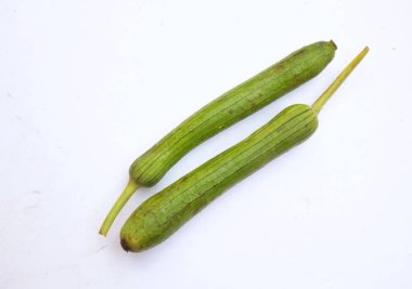 Taze organik sünger kabağı, bilinen kabak sırtı kabağı, (Luffa aegyptiaca), Mısır salatalığı veya Vietnam luffası, Sünger kabağı, Pürüzsüz lif, Sebze süngeri, kabak havlusu beyaz bir zada izole edilir.
