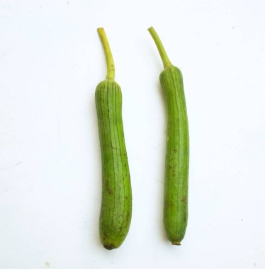 Taze organik sünger kabağı, bilinen kabak sırtı kabağı, (Luffa aegyptiaca), Mısır salatalığı veya Vietnam luffası, Sünger kabağı, Pürüzsüz lif, Sebze süngeri, kabak havlusu beyaz bir zada izole edilir.