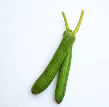 Taze organik sünger kabağı, bilinen kabak sırtı kabağı, (Luffa aegyptiaca), Mısır salatalığı veya Vietnam luffası, Sünger kabağı, Pürüzsüz lif, Sebze süngeri, kabak havlusu beyaz bir zada izole edilir.