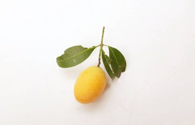 Taze olgun Marian erik mayogchid, Maprang Marian eriği ve erik mangosu (Bouea contraitifolia) ve beyaz zemin üzerinde yalıtılmış yapraklar. Tropik meyve Tayland ve sağlıklı 