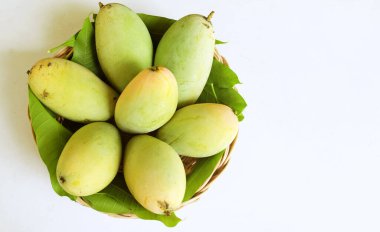 Taze organik Barakuda Mango, Nam Dok Mai, Altın Mango, Sarı Mango (Mangifera indica Linn). Hasır bir sepetteki mango meyveleri beyaz bir zeminde izole edilmiş yapraklarla. Tayland 'da tropik meyve ve egzotik