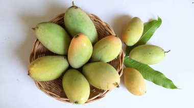 Taze organik Barakuda Mango, Nam Dok Mai, Altın Mango, Sarı Mango (Mangifera indica Linn). Hasır bir sepetteki mango meyveleri beyaz bir zeminde izole edilmiş yapraklarla. Tayland 'da tropik meyve ve egzotik