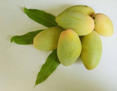 Taze organik Barakuda Mango, Nam Dok Mai, Altın Mango, Sarı Mango (Mangifera indica Linn). Mango meyveleri beyaz bir arkaplanda izole edilir. Tayland 'da tropik meyve