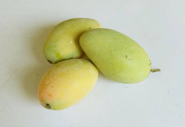 Taze organik Barakuda Mango, Nam Dok Mai, Altın Mango, Sarı Mango (Mangifera indica Linn). Mango meyveleri beyaz bir arkaplanda izole edilir. Tayland 'da tropik meyve