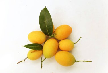 Taze olgun Marian erik mayogchid, Maprang Marian eriği ve erik mangosu (Bouea contraitifolia) ve beyaz zemin üzerinde yalıtılmış yapraklar. Tropik meyve Tayland ve sağlıklı 