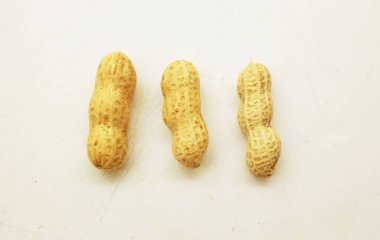 Organik fıstık, kabuklu ve haşlanmış fıstık, amendoim cozido, serpe, nordeste, Brezilya (Arachis hipogaea L.) beyaz bir zemin üzerinde izole edilir.